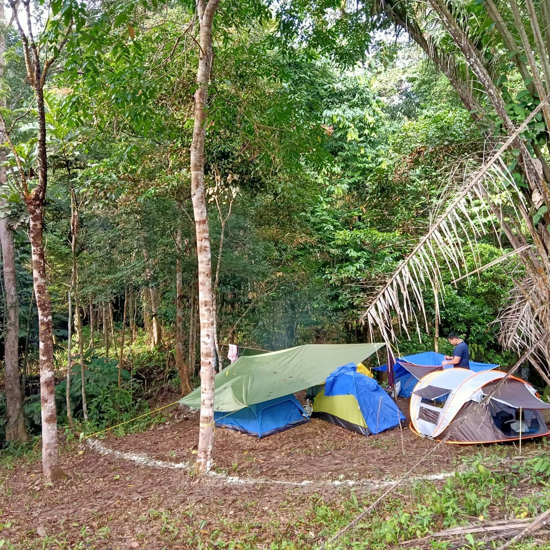 Draco Nature Camp