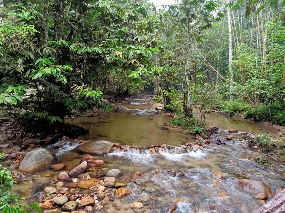 Taman Eco Rimba Negeri Selangor