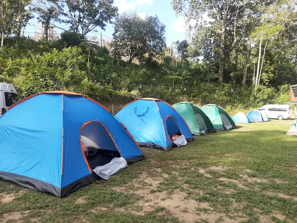 AIR Jungle Campsite