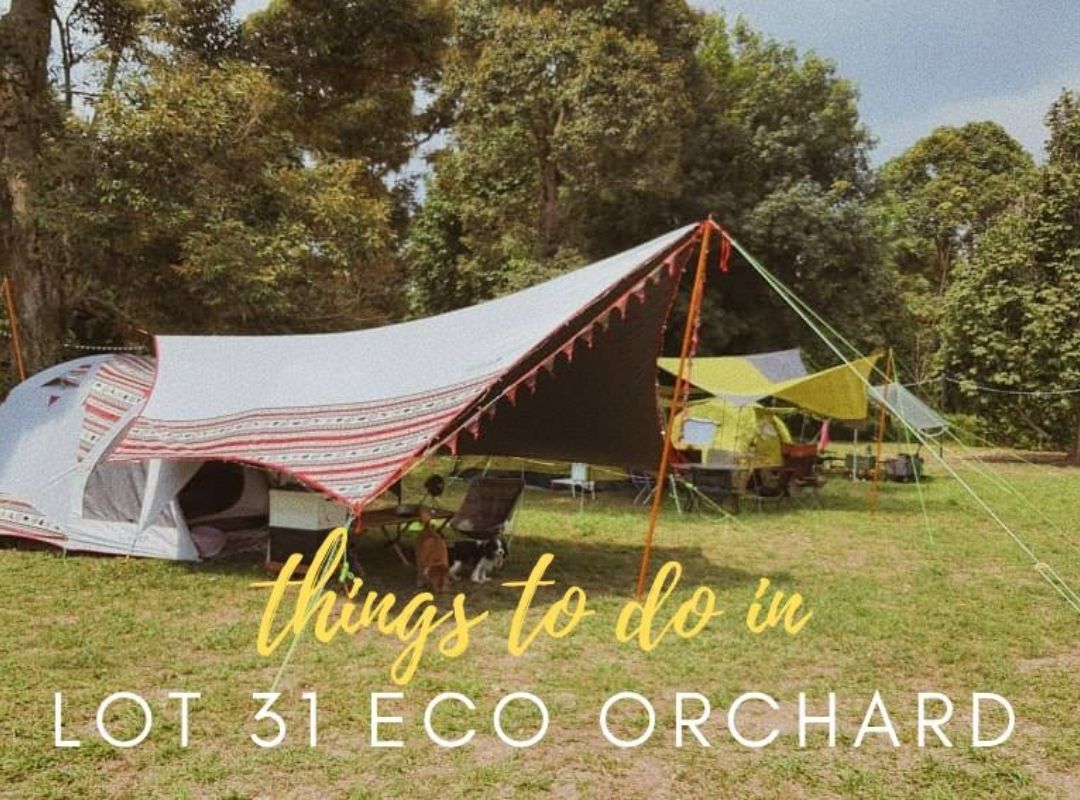 Lot 31 Eco Orchard OFC