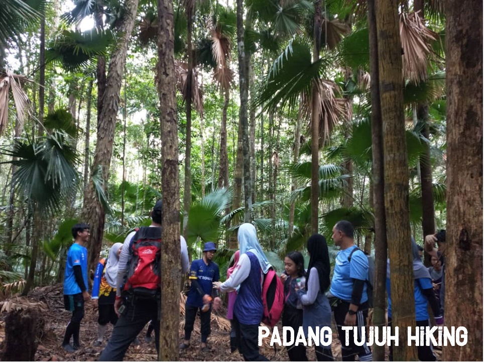 Taman Negeri Rompin Pahang