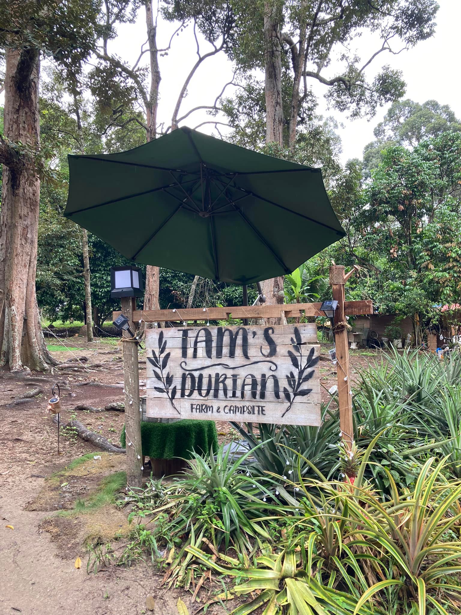 Tam’s Durian Farm & Campsite