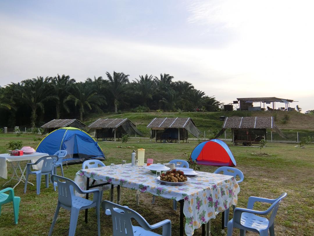 Green View River Camp
