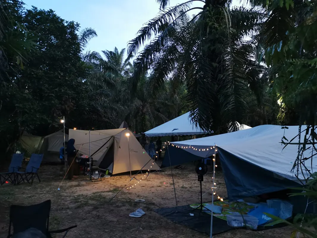 beratap sawit campsite 3