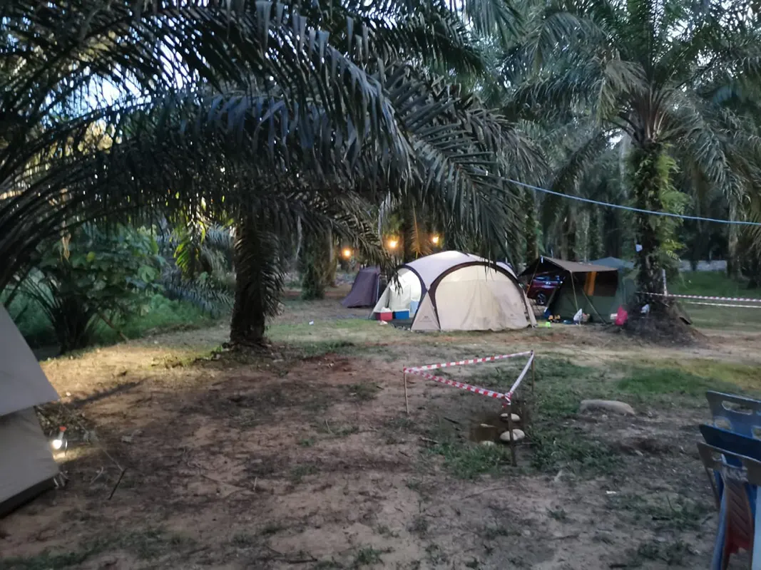 beratap sawit campsite 4