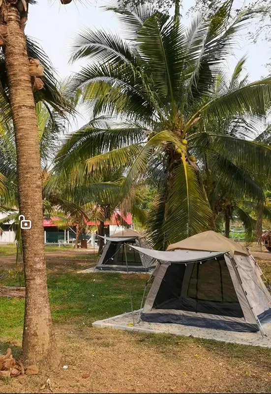 coconut orchard campsite 4