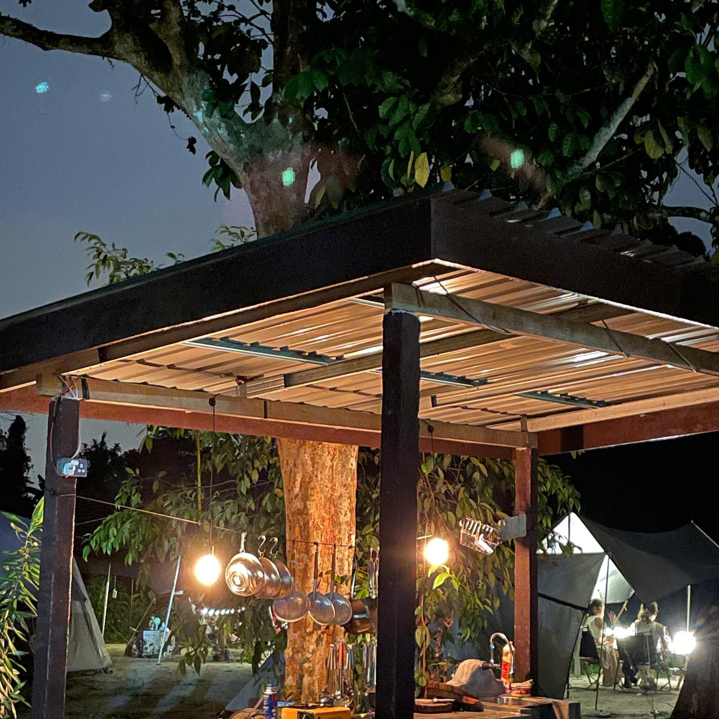 Hammocks By The River