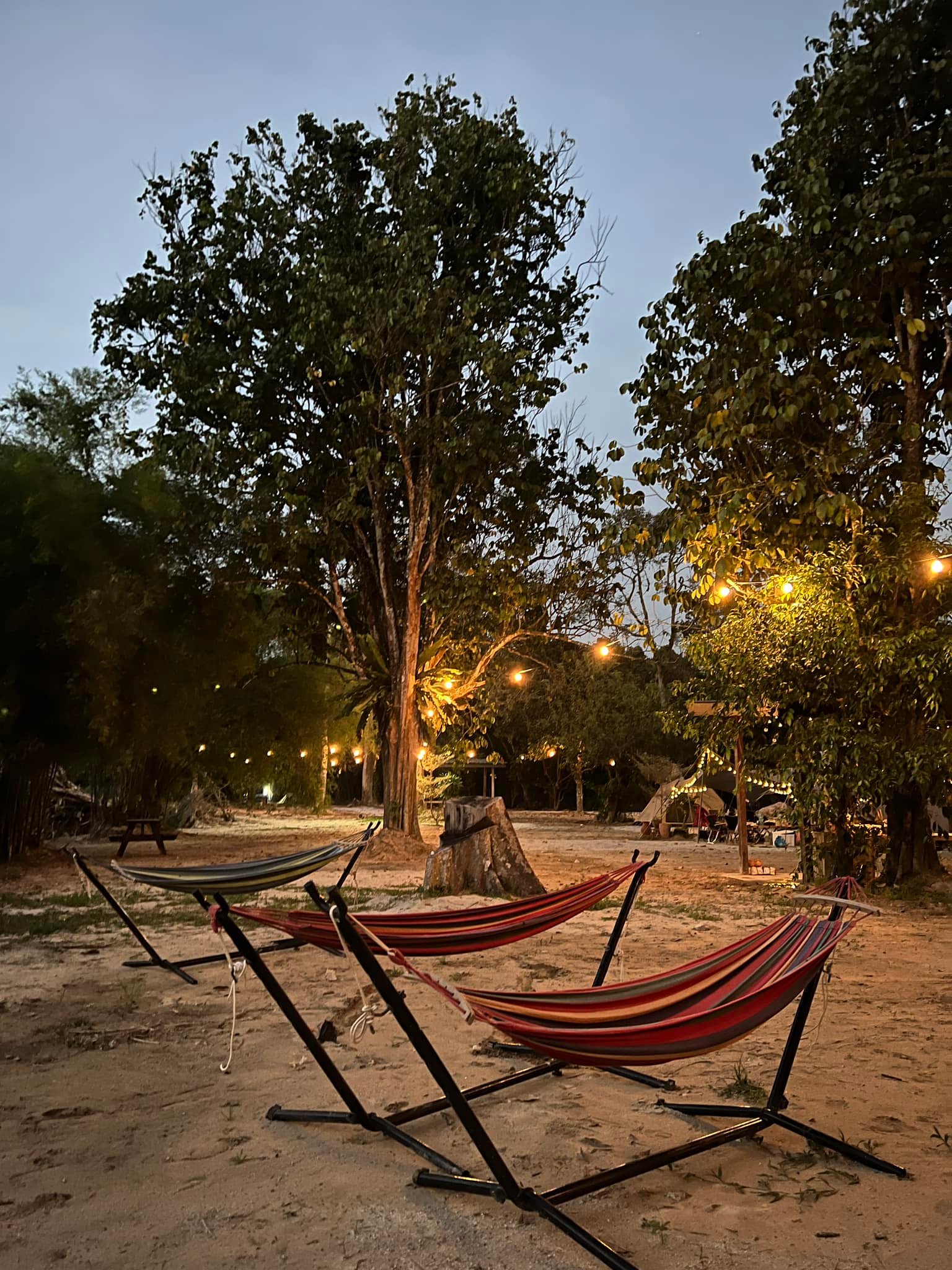 Hammocks By The River