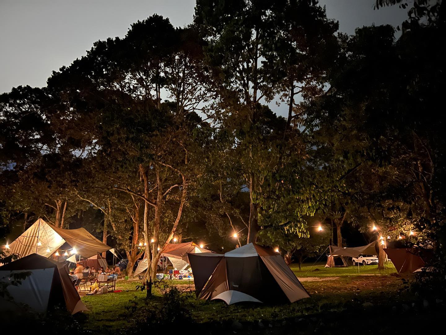 Hammocks By The River