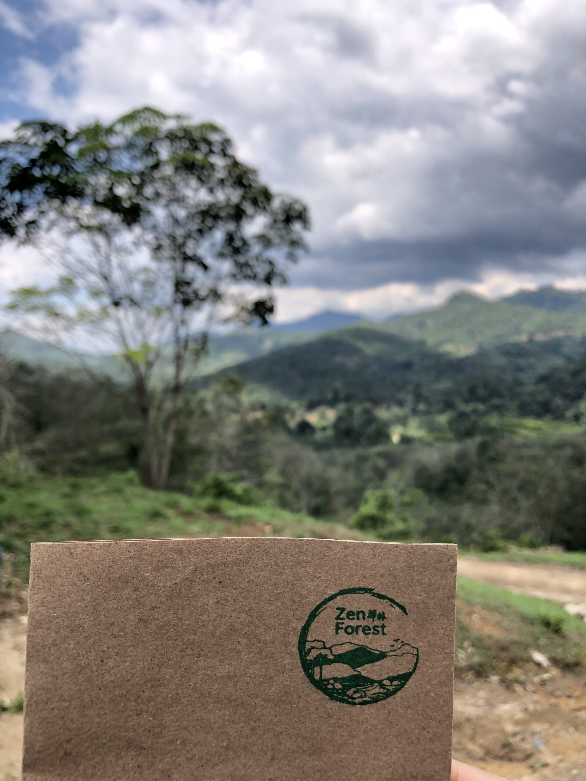 Zen Forest