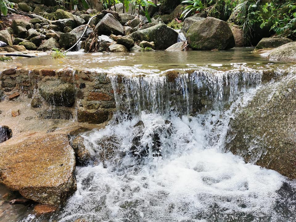 Dusun Durian Balik Pulau