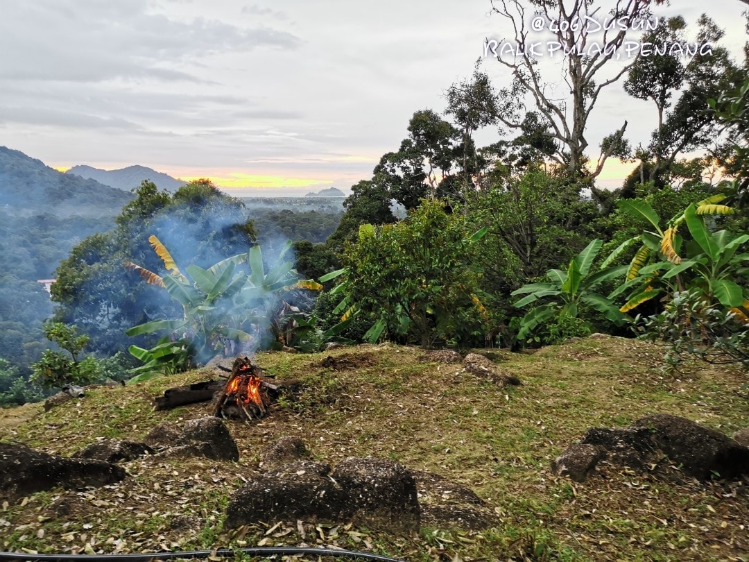Dusun Durian Balik Pulau