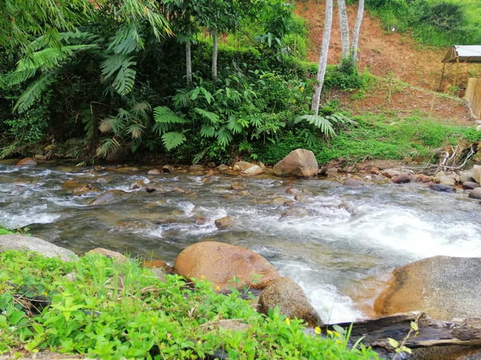 Campsite Cherry Chalet