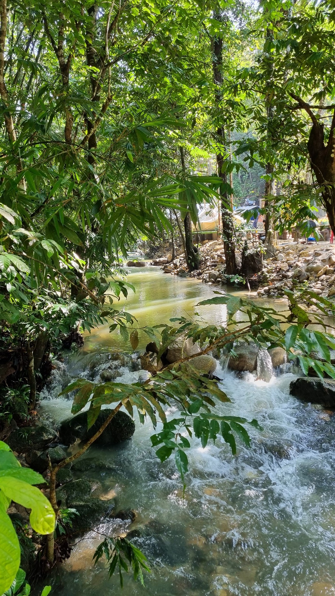 Moon Kissed By the River
