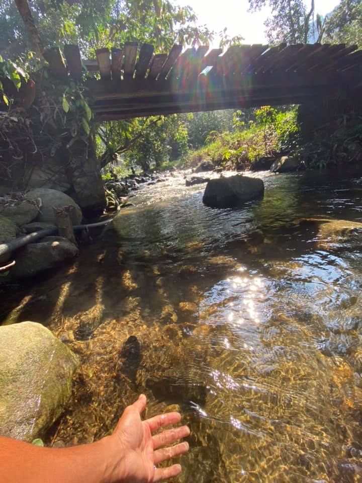 Tepian Bambu Glampsite