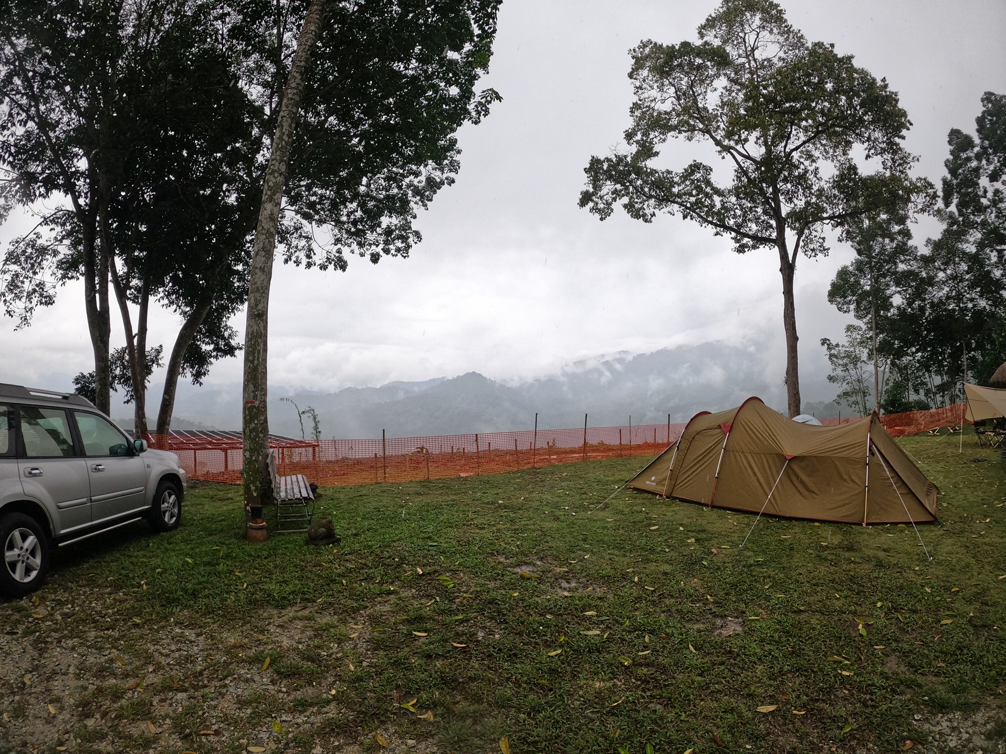 Willow Tree Campsite