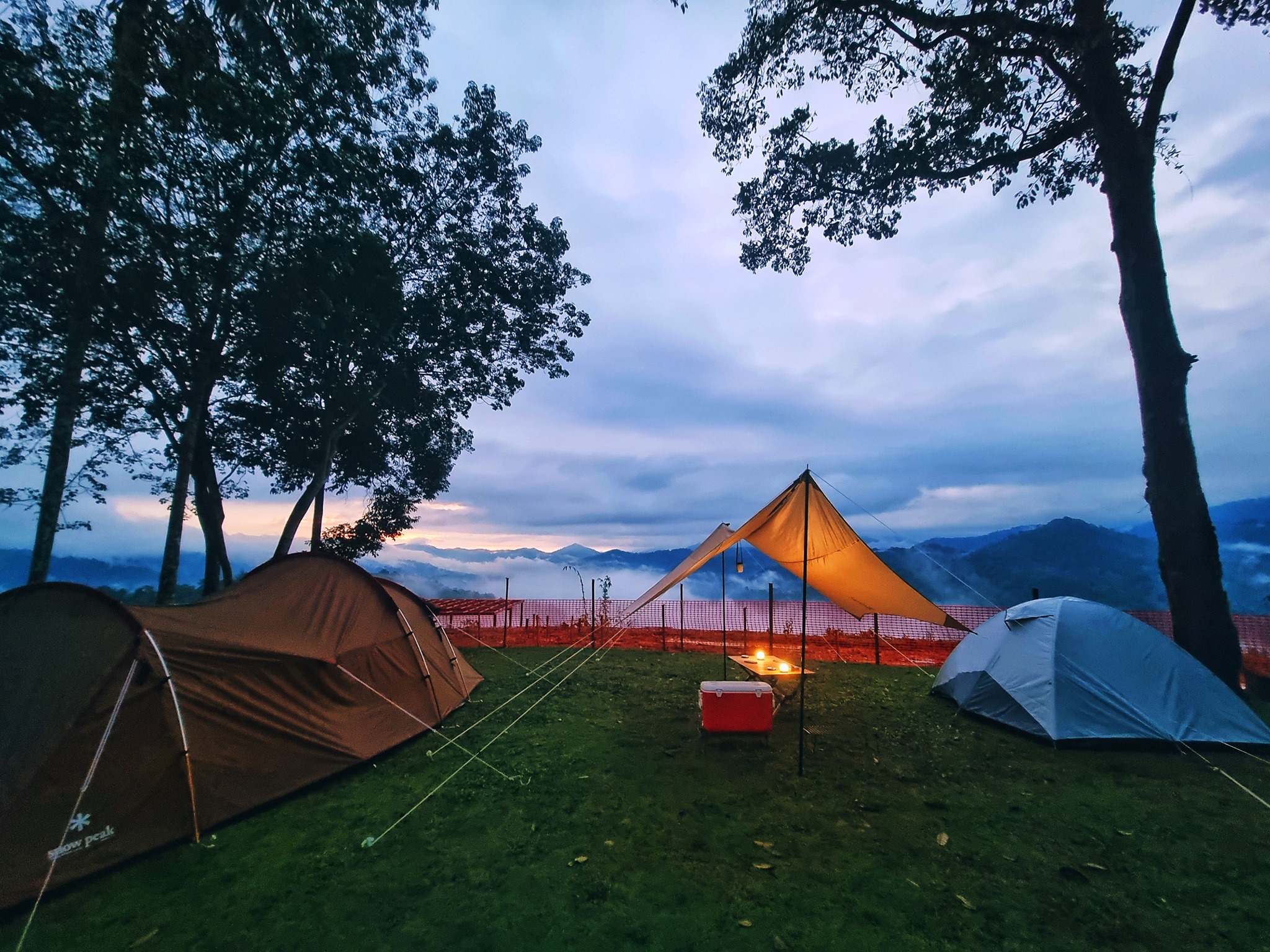 Willow Tree Campsite