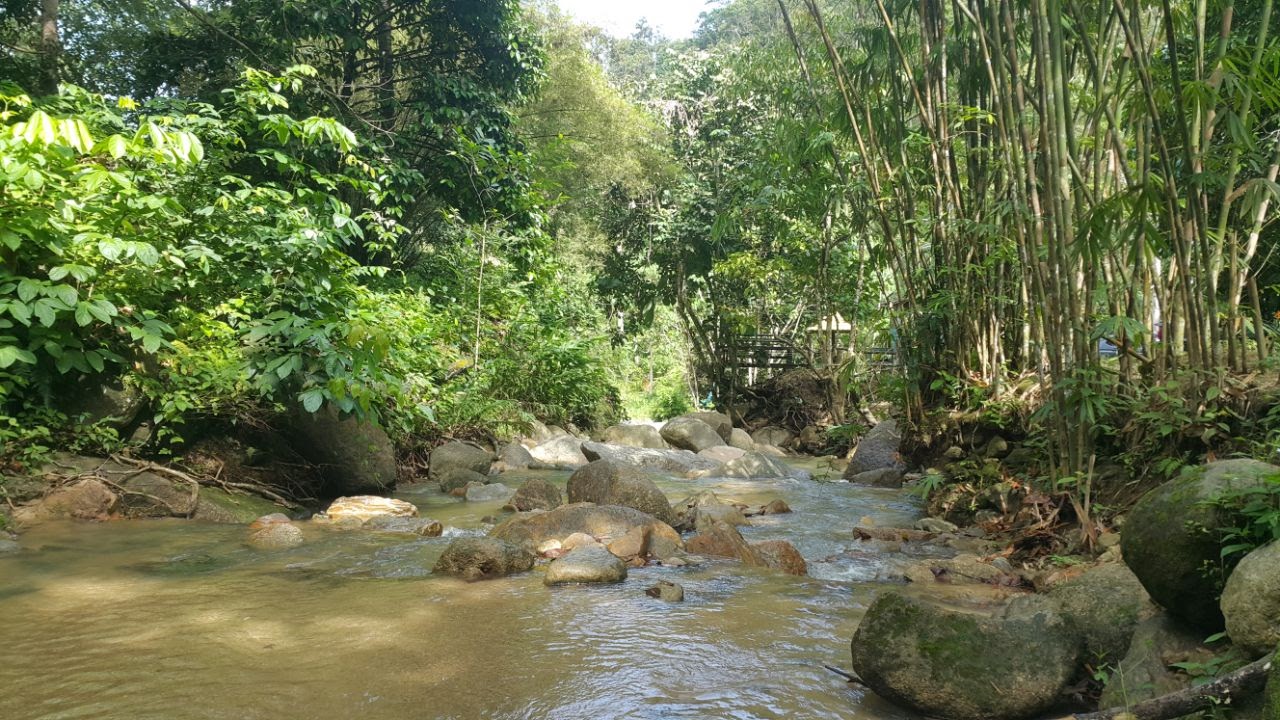 Dusun d’Kongso
