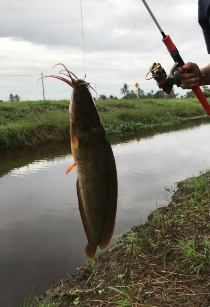 Orang Orang Art Camp