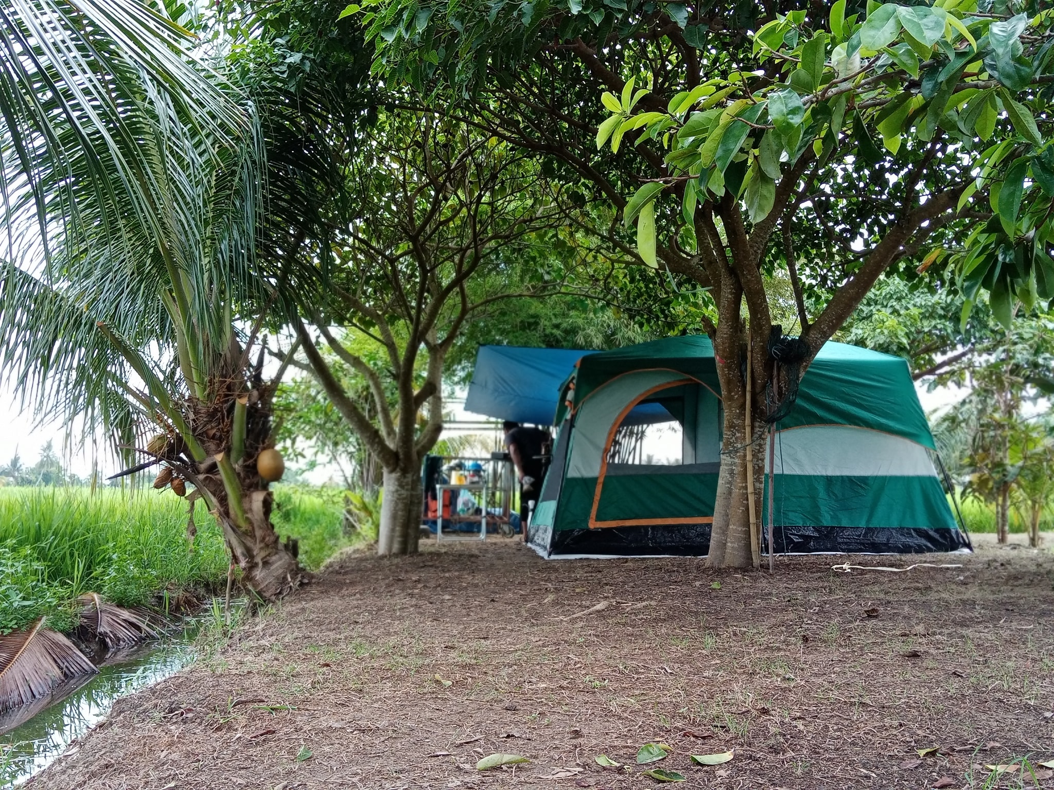 Orang Orang Art Camp