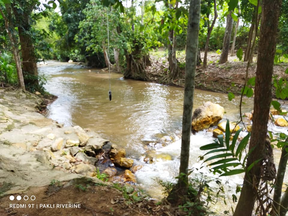 Riverine Nature Camp