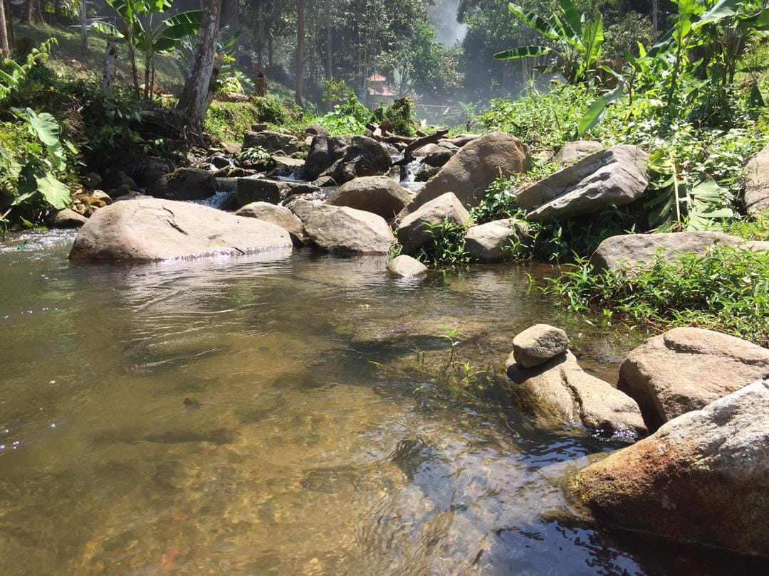 Suara Rimba Campsite Sg Gabai