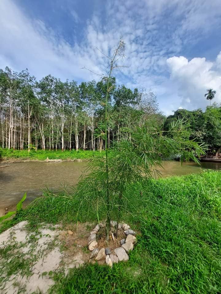 Kesuma Valley Campsite