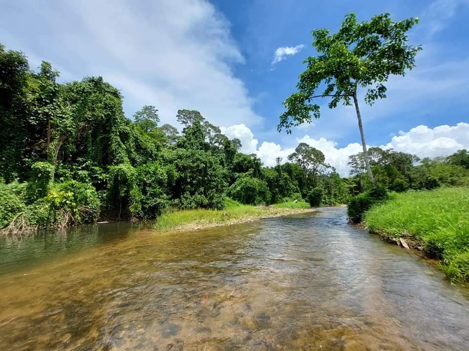 Kesuma Valley Campsite