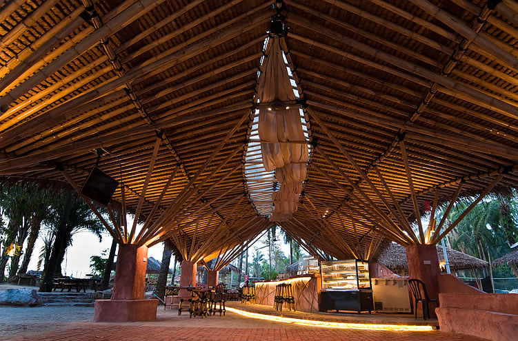 Tropical Spice Garden