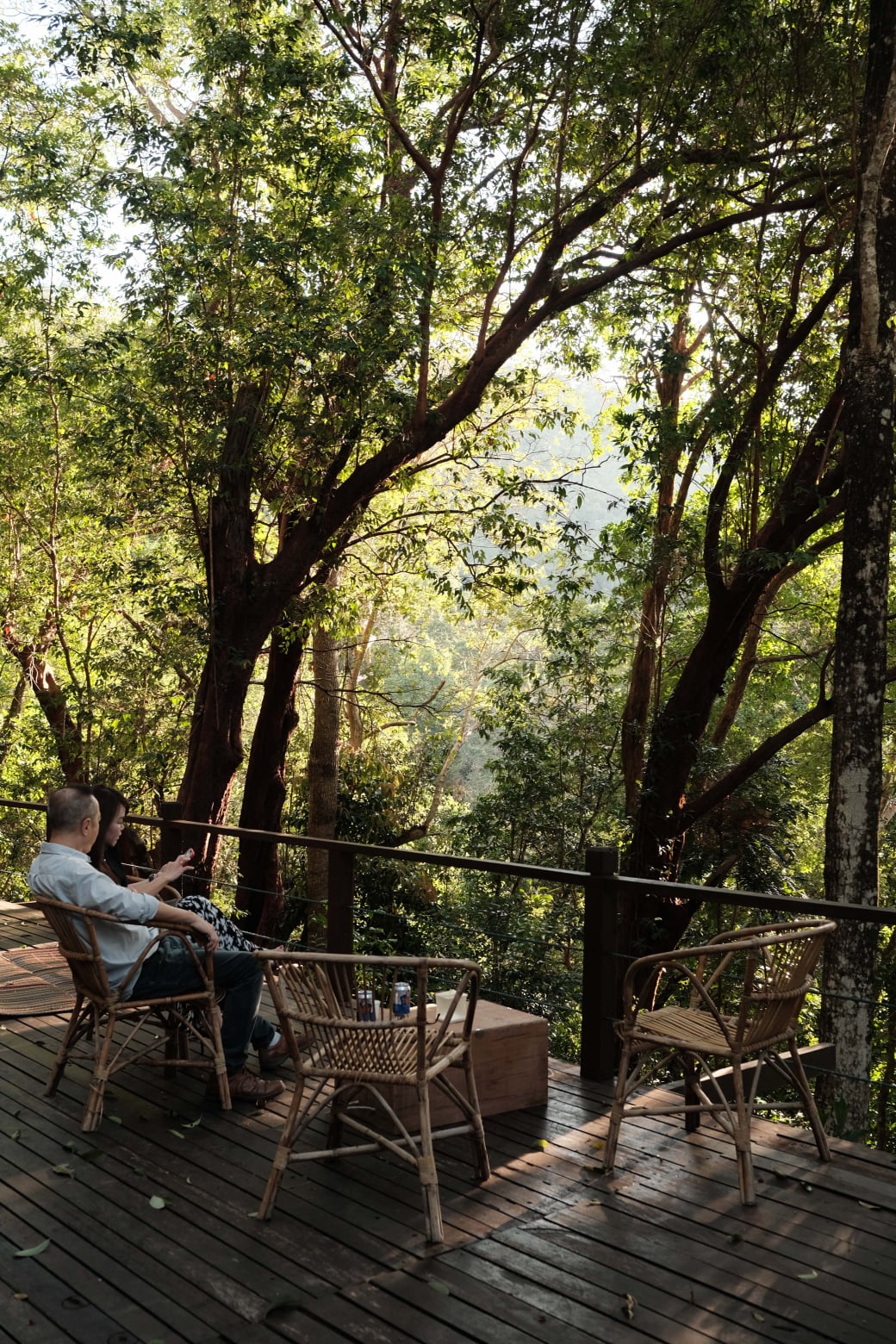 Tropical Spice Garden