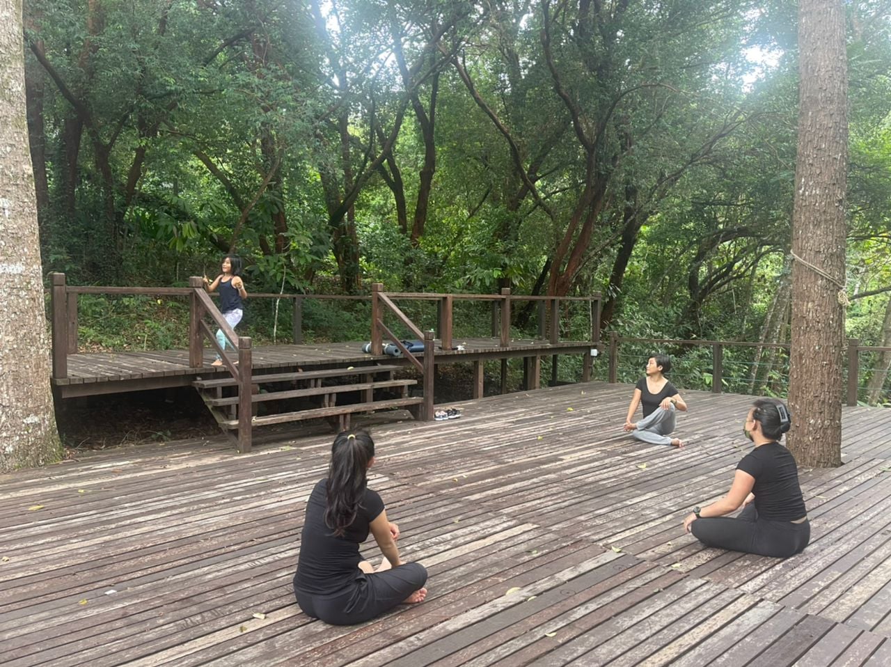 Tropical Spice Garden