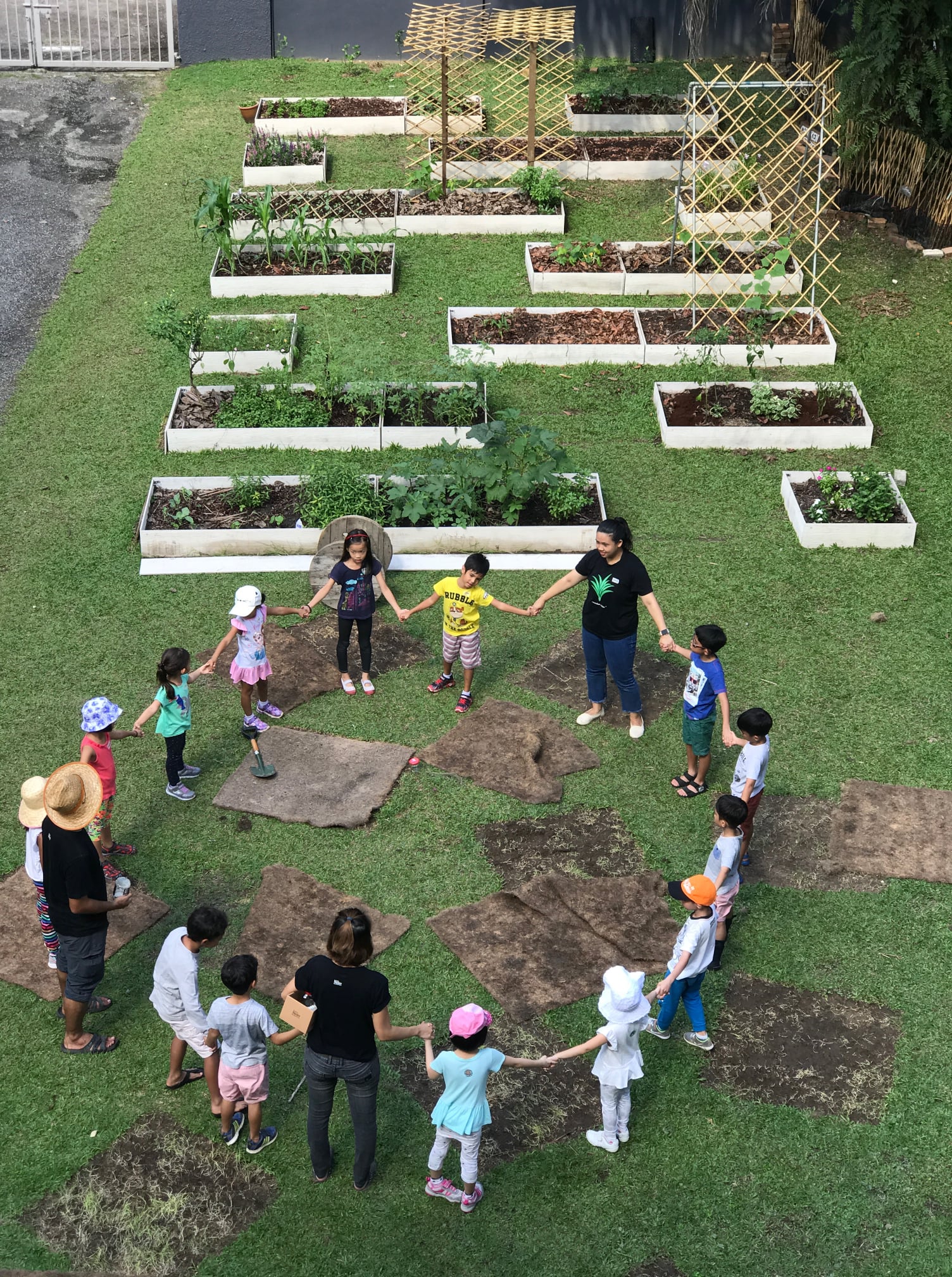 Tropical Spice Garden