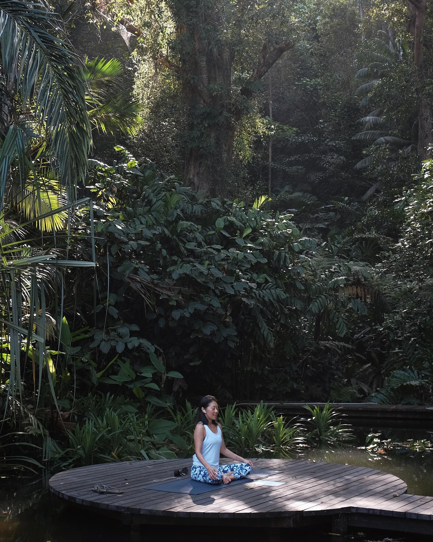 Tropical Spice Garden