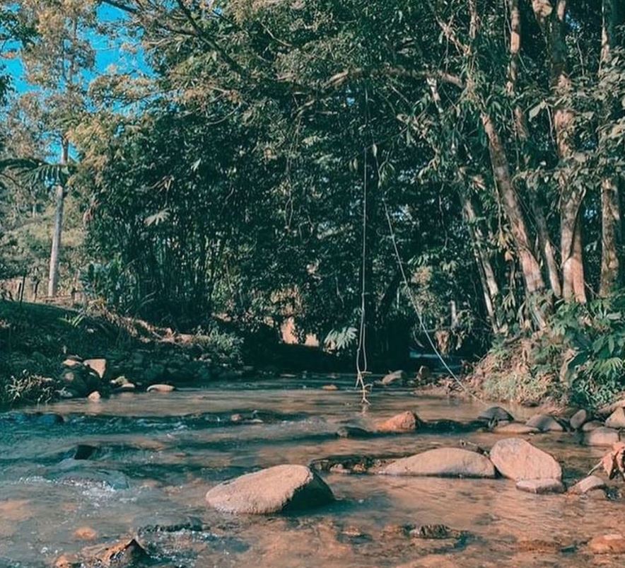 Kroni Hutan Campsite