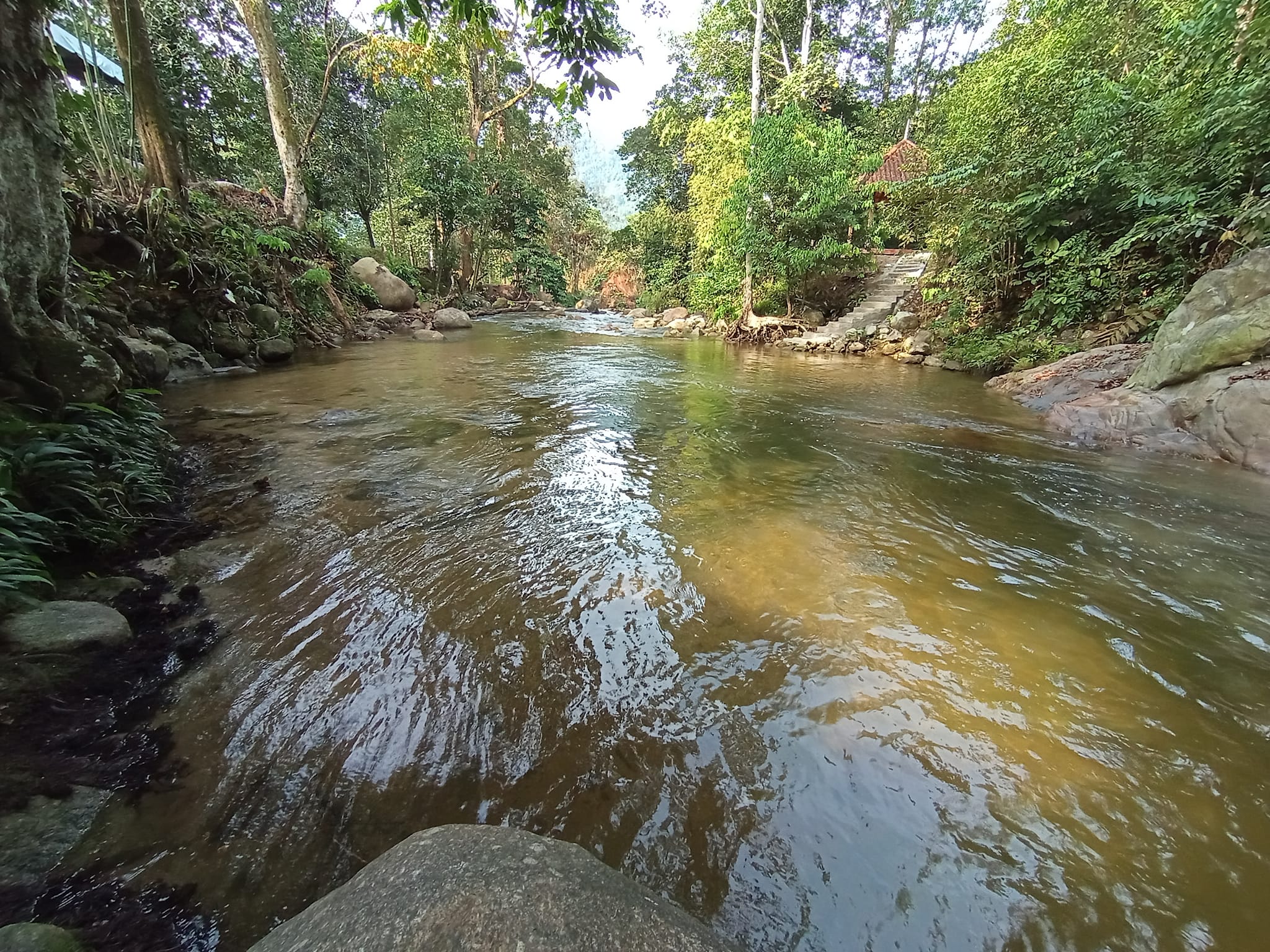 Lubuk Petai Campsite