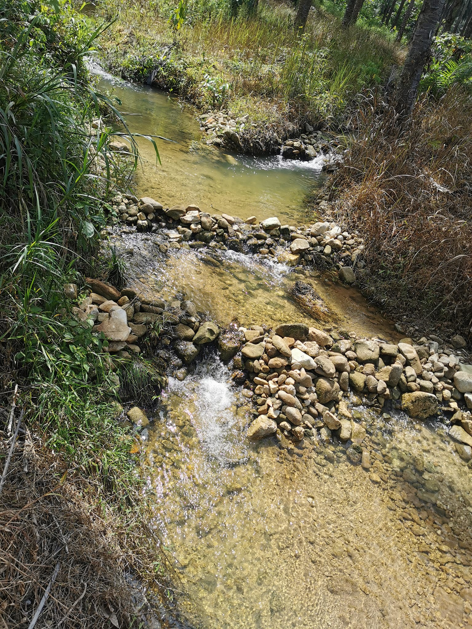 2K Hotspring Campsite