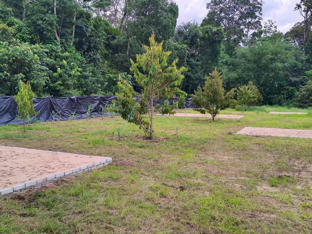 Behrang Camp De Orchard