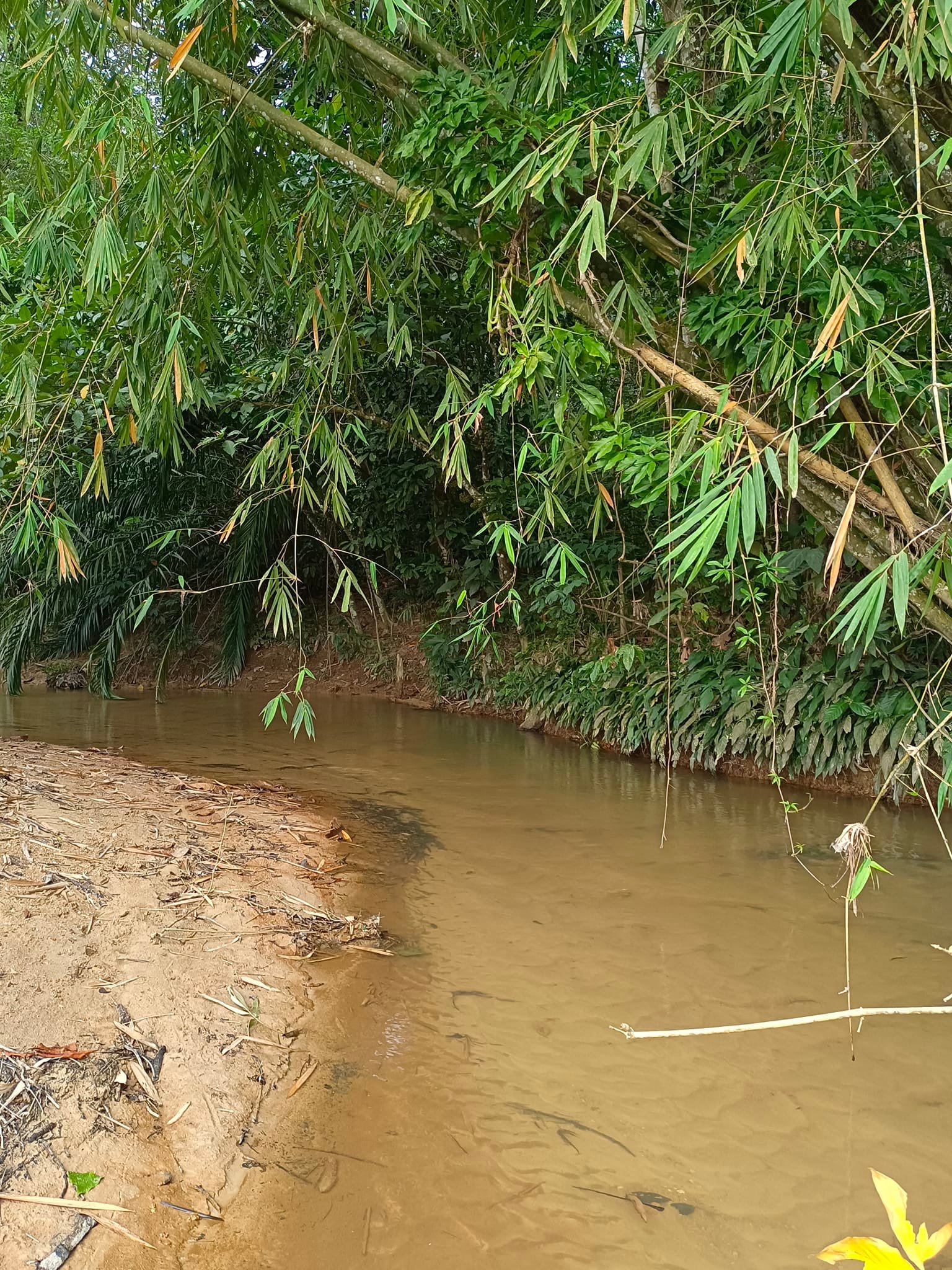 Behrang Camp De Orchard