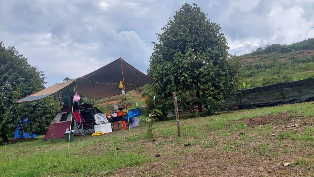 Behrang Camp De Orchard