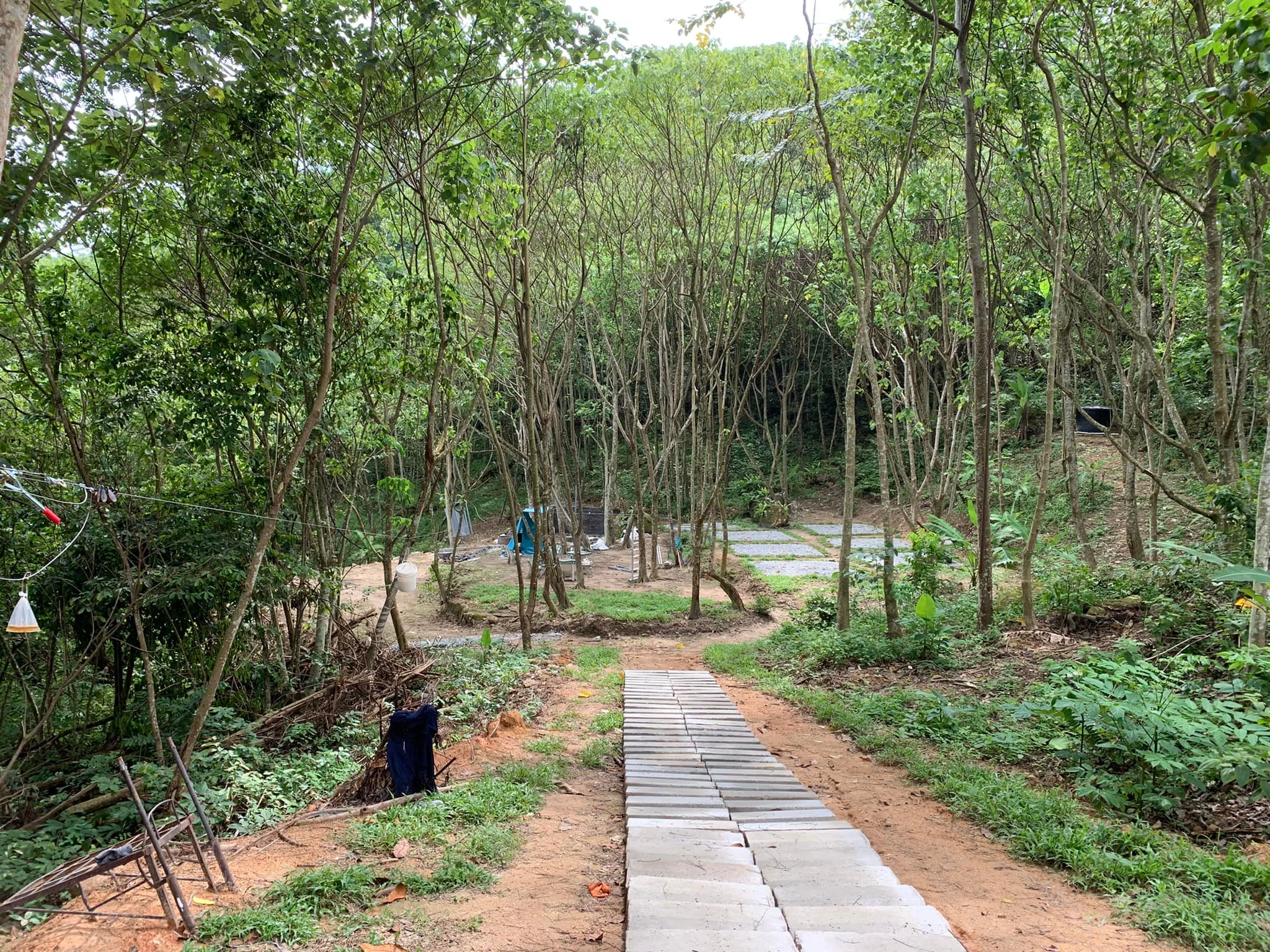 Papan Hill Nature Camp