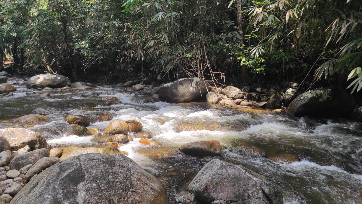 Island Campsite, Tanjong Malim