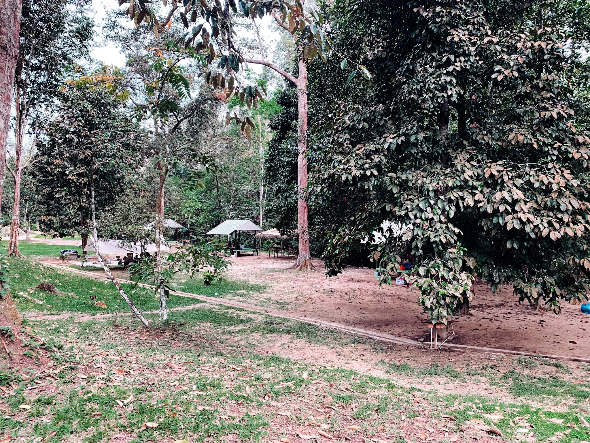 Dusun Tok Mat, Ulu Yam