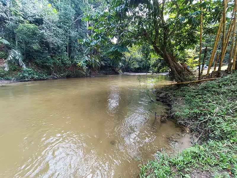 Belantara Camp Santai