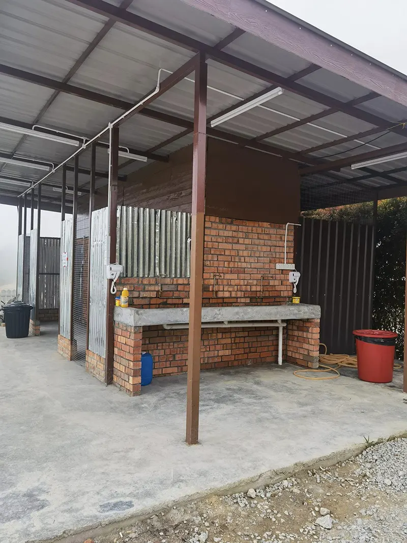 Stellar Golden Hill Cameron