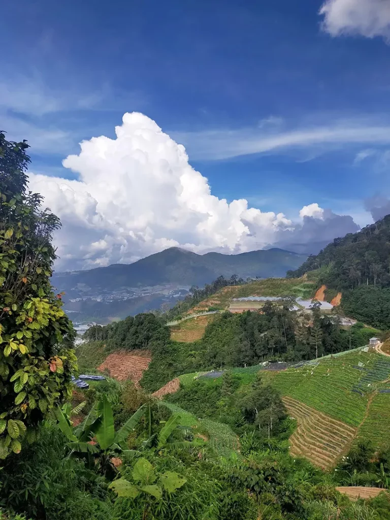 Azam Farm Azam's Orange Farm, Sungai Palas | Xplore.my