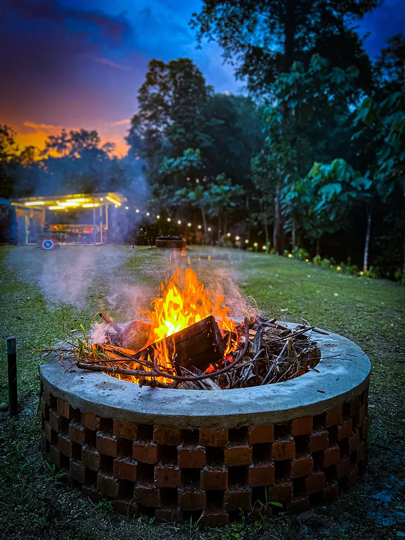 Summer Summer Farm 1