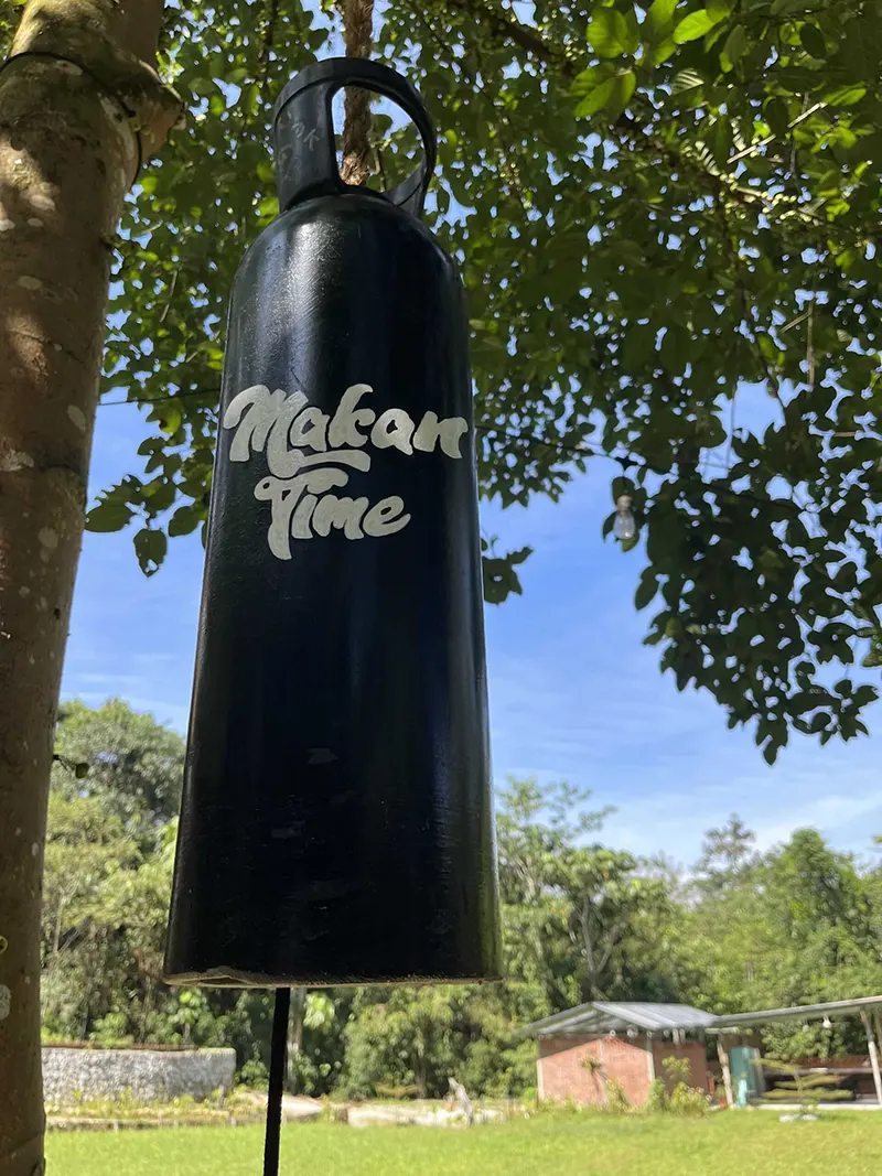 Summer Summer Farm 10