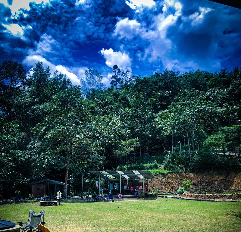 Summer Summer Farm 4