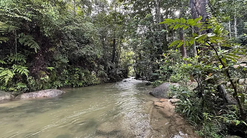 Summer Summer Farm 7