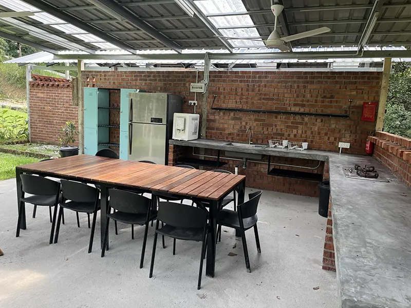 Summer Summer Farm 8